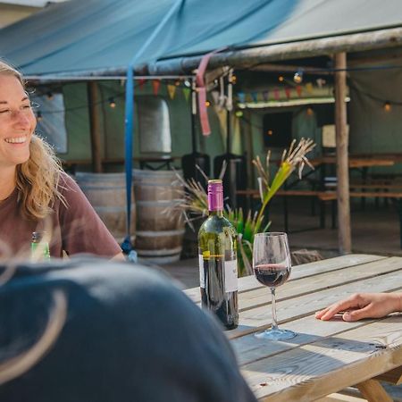 Family & Surfhostel Petten Esterno foto